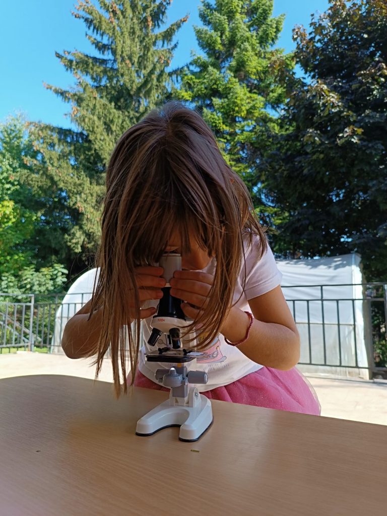 0-02-05-23e6e7378cf5573ad586e709963c52543507f82221e0e70b55e055d80e26e5a3_dfbc76d189cd82e4