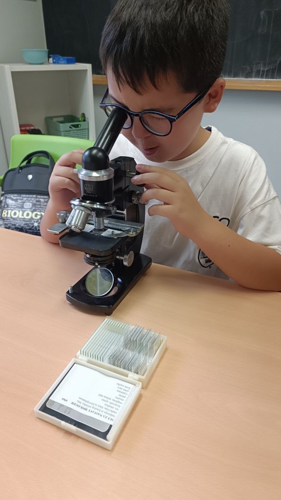 0-02-05-375d1eda3c7e7d2fe21d6076d5de270113012ebfa8320c2486837f1ffe628102_cb0b2b4e5cd17de8