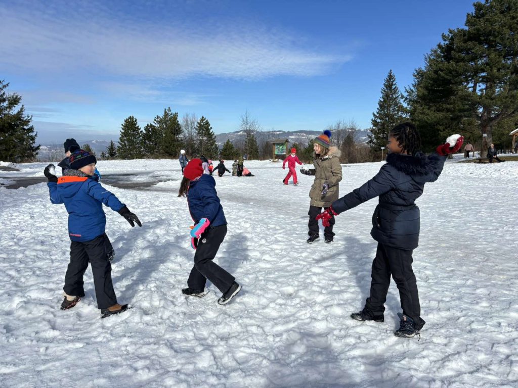 0-02-05-605d399af5a4764261cc2f0c819a0675b7b715d993328908775e65c859c5995e_f2cc2646354935d7