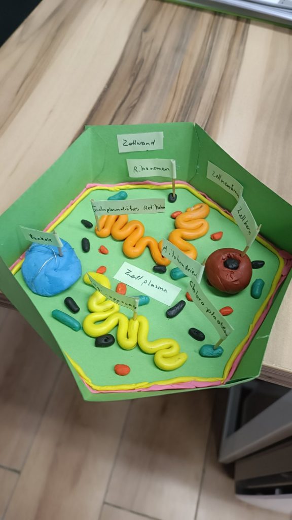 0-02-05-644b78b9a5477698b6a8a4985e2b251c9b0b0349c03289b43a26a2a8b22ed1ed_2fb247068b0d1a42