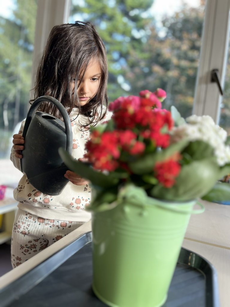 0-02-05-bafce9a20efcccb33a57b95024ff9be94bb607b514bb55ef4b746dd668970a56_9f4fa9f8830f565a