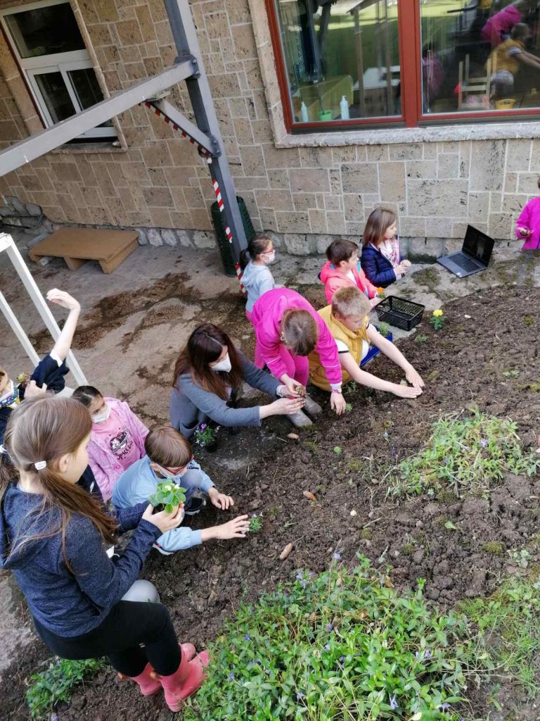 0-02-05-c77a2f263ae28ba254811f9c697b1328b55f7a19e593ea1a209ab86f25d38827_6f19598053c14666