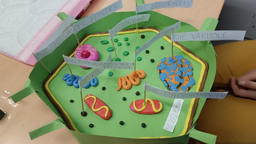 0-02-05-ce5b4fe9d86b53d15fa488910c4e0bbdd5f27ad2a8ac70b0b9e2387a4079837a_c647e840ff53d625_1