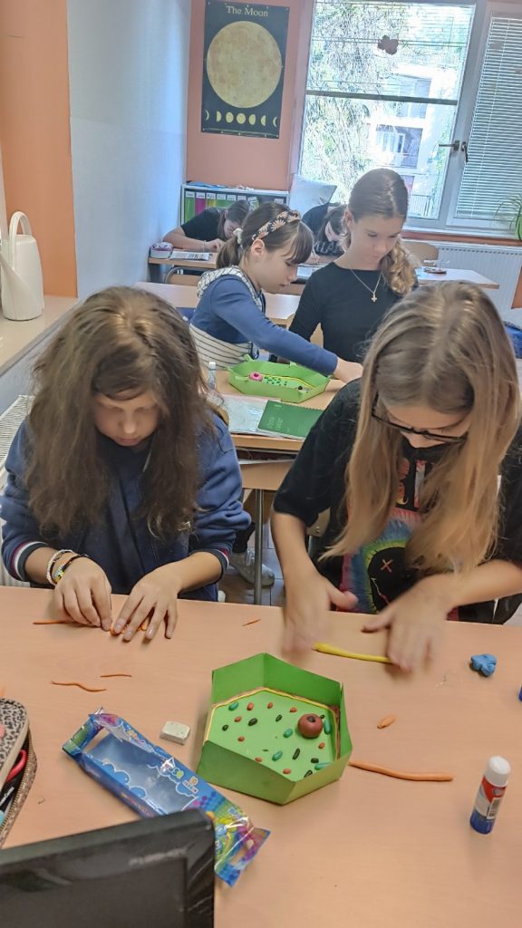 0-02-05-edd7f508eb16f9be7e518316f9a5b73378805fb05384c8881af989c45c5ebcab_2fea3579e5a70f7b_1