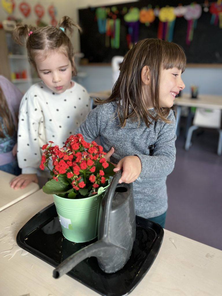 IMG-3bf1caf1bd45e3ef9807e1ed292d34d9-V