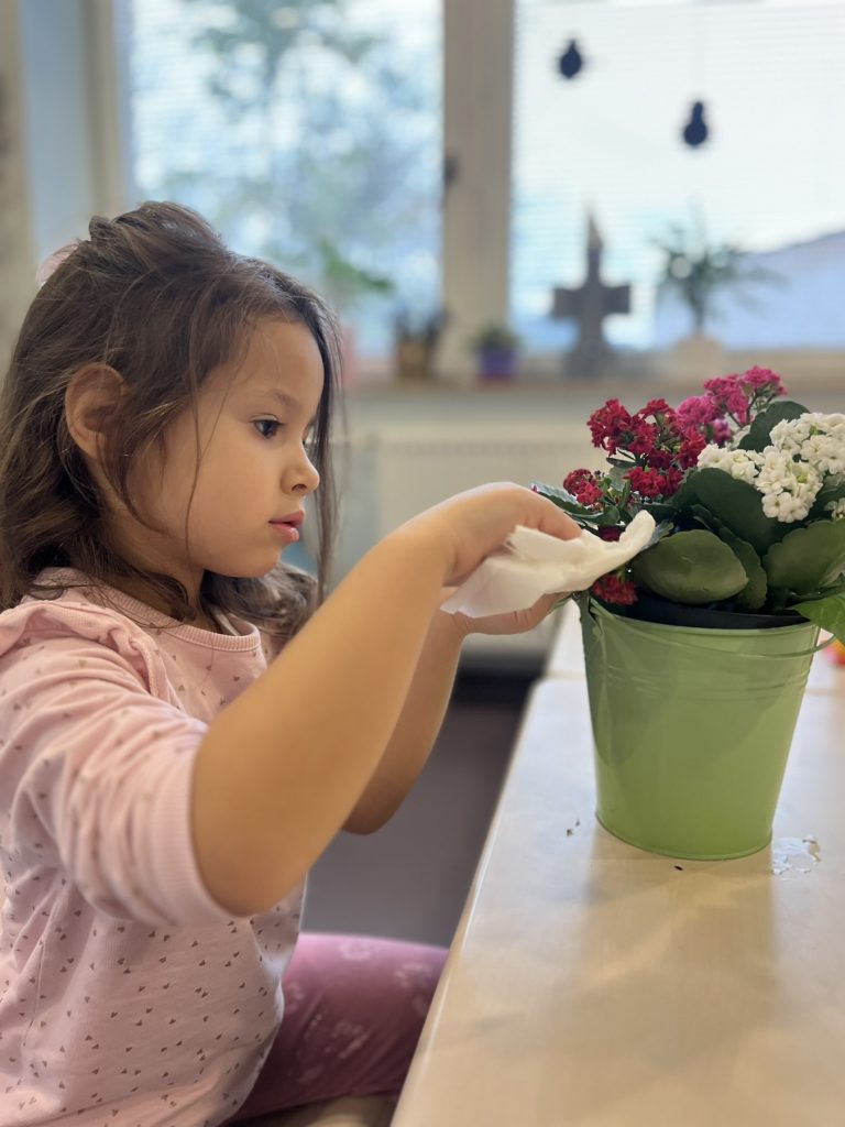 IMG-dc9a6fbd9004f1376f4a73764b35ce77-V