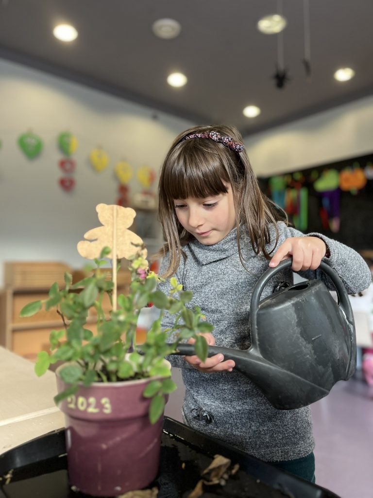 IMG-f7519ad72134642def6441a632cf3fca-V