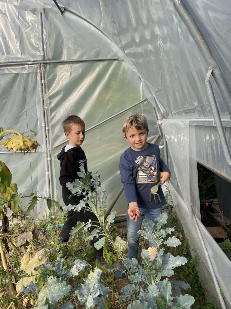 viber_image_2022-11-01_07-29-23-435