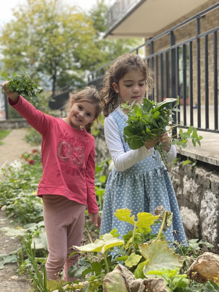 viber_image_2022-11-01_07-29-26-517